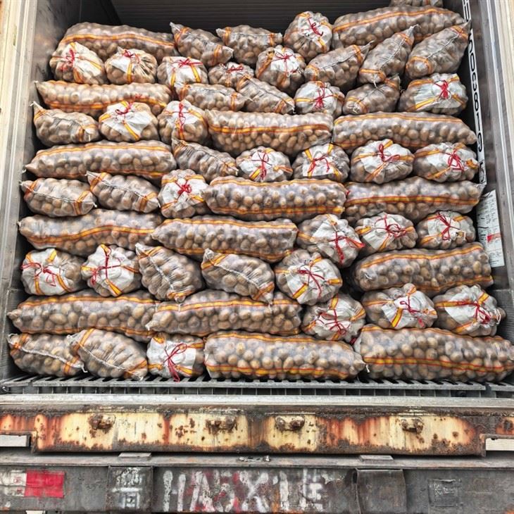 China New Crop Fresh Potato From Shandong Province factory