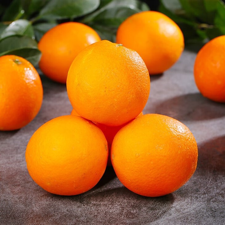Selling Navel Orange factory