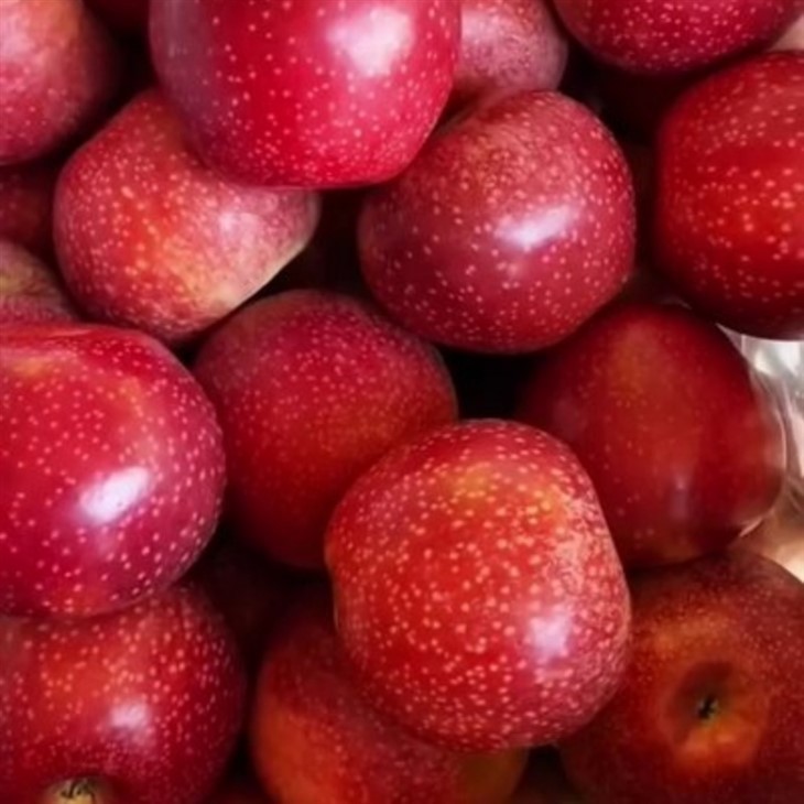 Qinguan Apple factory