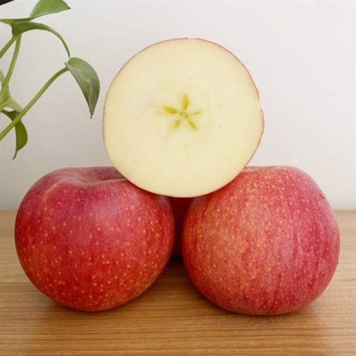 Qinguan Apple suppliers