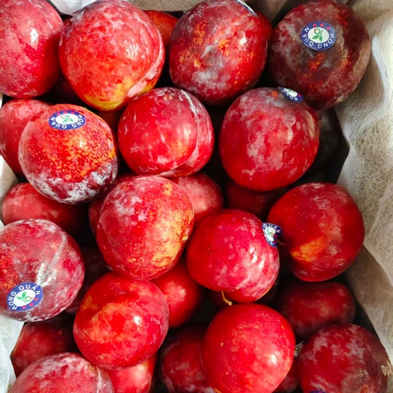 2025-10-15134246449 2025-10-15134246449