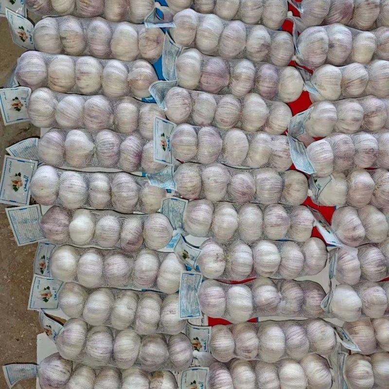 New Harvest Pure White Garlic best