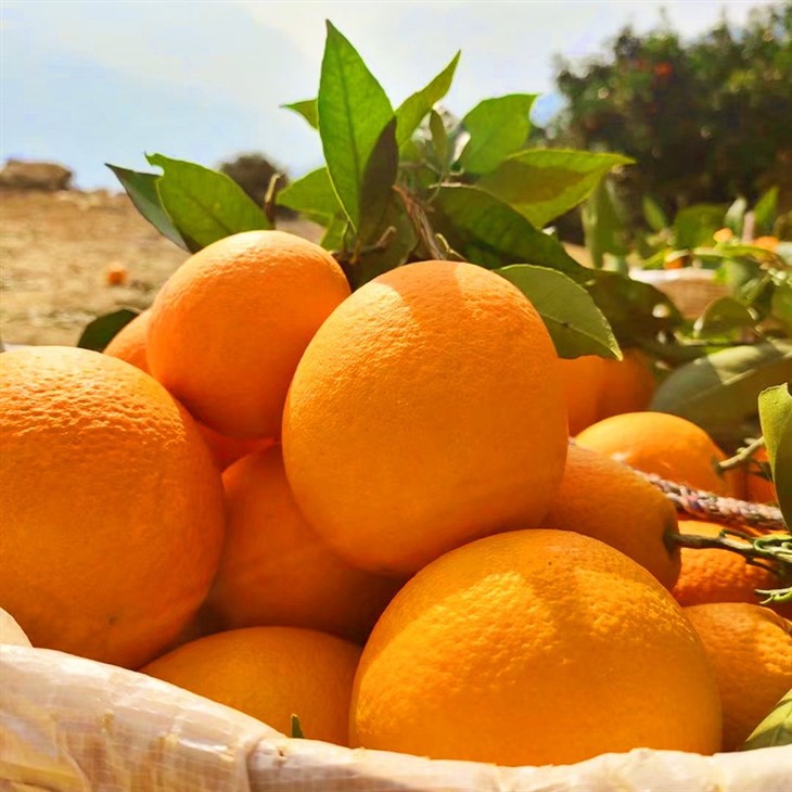 bAtcvxfVVOFTMggqPstfXw