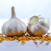 0,5 mārciņas tīklveida maisiņš, balts ķiploks