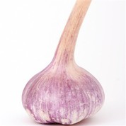 normāls balts ķiploks violets ķiploks