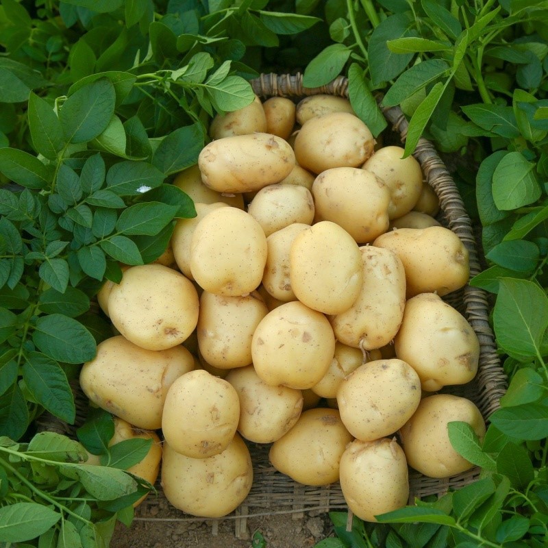 134416460341920x1280 134416460341920x1280