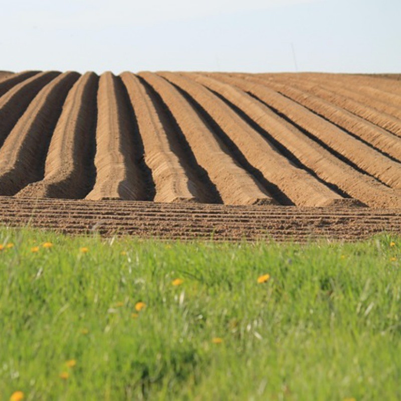 agriculture-4145988640 agriculture-4145988640