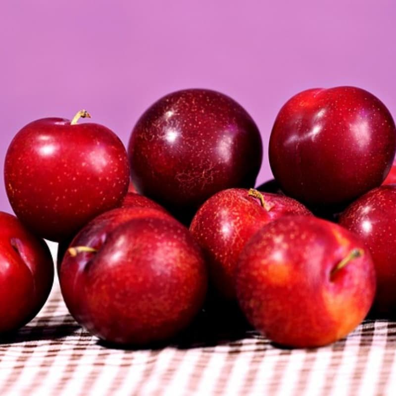 cherry-plum-7297684640 cherry-plum-7297684640