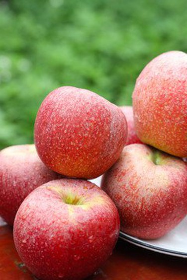 t017ba4aab1d98bb55c t017ba4aab1d98bb55c