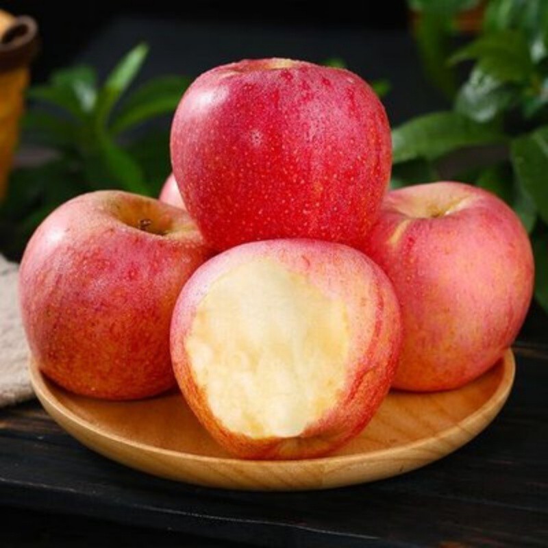 t040c1a5f696695d55f t040c1a5f696695d55f