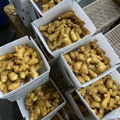 200g Fresh Ginger