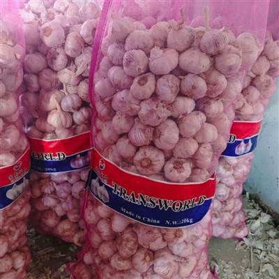 5,5 cm svaigi ķiploki